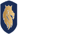 FR7 Qualificação